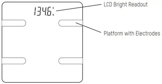 TAYLOR 5297054 Scale Smart with Body Fat - view F