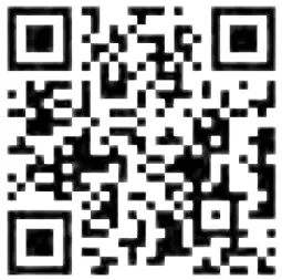 XBRAND GE3918FTNA 40 Inch Tall Grey and Free Standing - 10