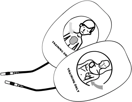 XFT-120C+ - Components 1