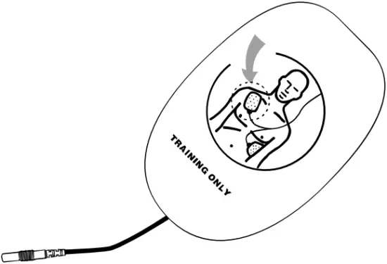 XFT-120C+ - Training Pads 1