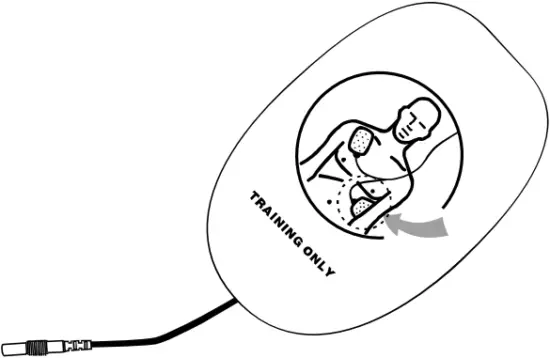 XFT-120C+ - Training Pads 2
