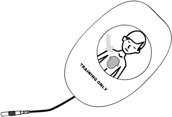 XFT-120C+ - Training Pads 3