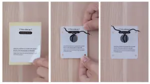 Bosma Sentry Installation Instruction Manual