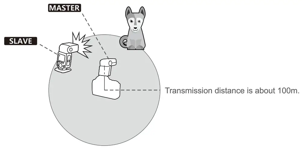 Godox V860II F TTL Pioneering TTL Li ion Camera Flash - Wireless Flash Shooting 1
