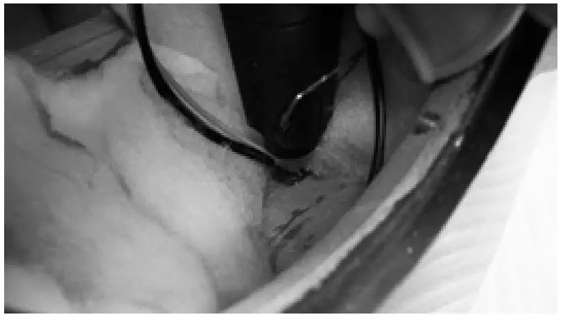 SB ACOUSTICS Sasandu 3 Way Floor Standing Speaker - damping part 5