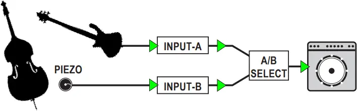 TONEBONE BASSBONE-V2 - OVERVIEW 3