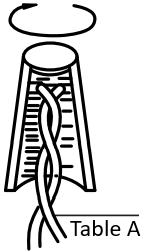 WAC LIGHTING LED Wall Sconce B5