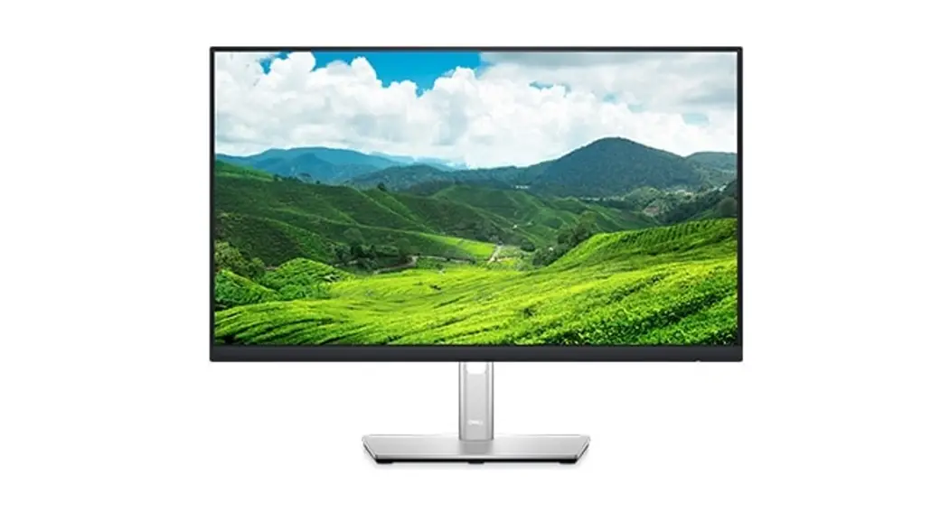 Dell P2422he Usb-c Hub Monitor User Guide