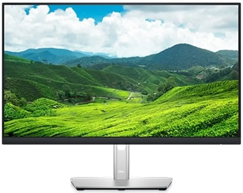 DELL P2422HE USB-C Hub Monitor