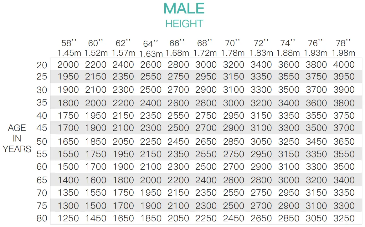 OPUMP LM B001 Smart Breathing Trainer - fig 4