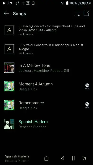Astell and Kern SP2000T A&ultima Onyx Black High-Resolution Fig8