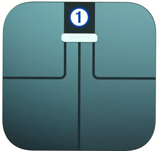 GARMIN 010-02294-03 Index S2 Smart