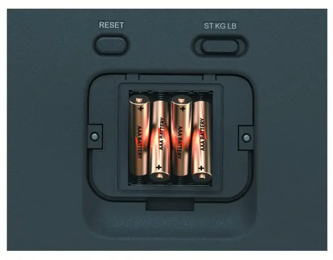 GARMIN 010-02294-03 Index S2 Smart -fig