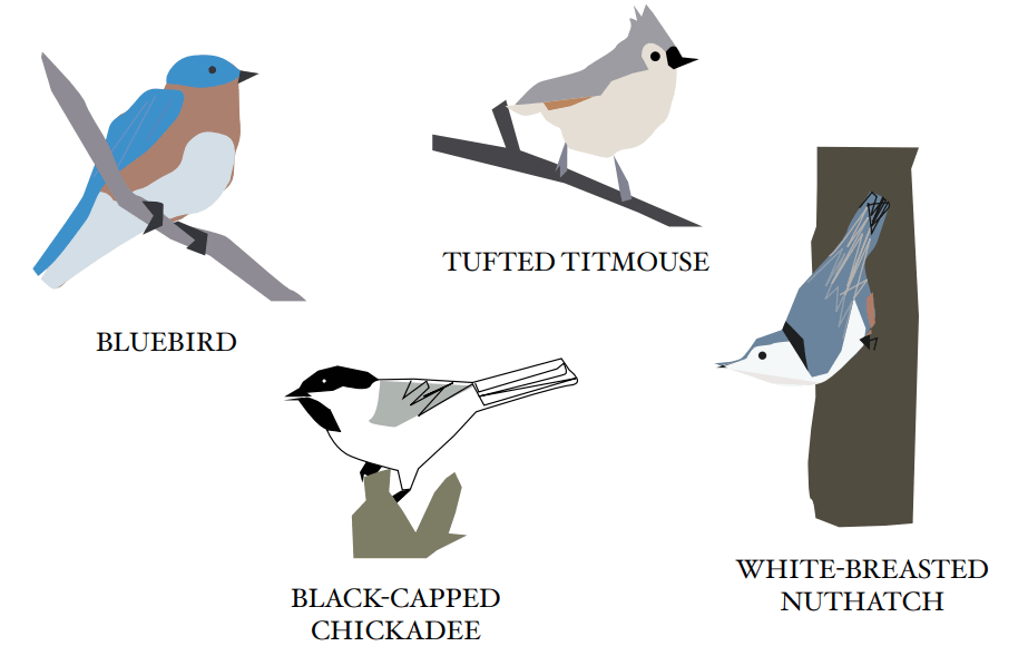 J SCHATZ Nut Bird House - fig 6