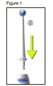 FIG 2 HOW TO USE POWERDENT ORAL