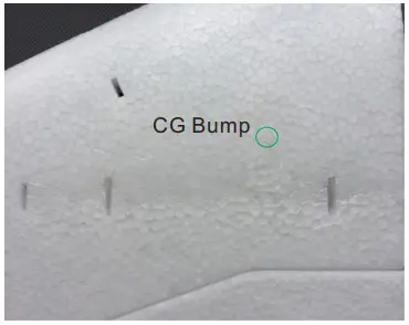 Center of Gravity Mark