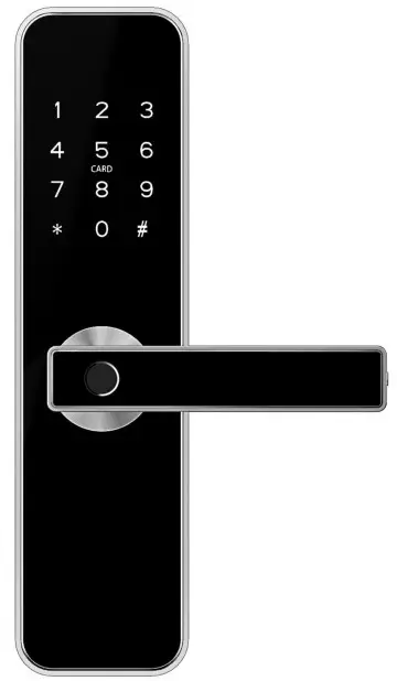 Rocks H31B Series Smart Lock