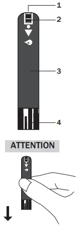 GlucoRx Q Blood Glucose Test Strips - Strip Appearance