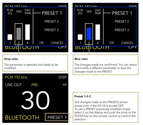 GOLD-NOTE-DS-Plus-Excellent-DAC-Streamer-13