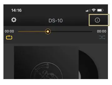 GOLD-NOTE-DS-Plus-Excellent-DAC-Streamer-19