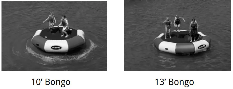 RAVE Bongo 10 and 13 - Bongo