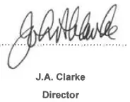 Clarke BS1 Belt Sander - Sign