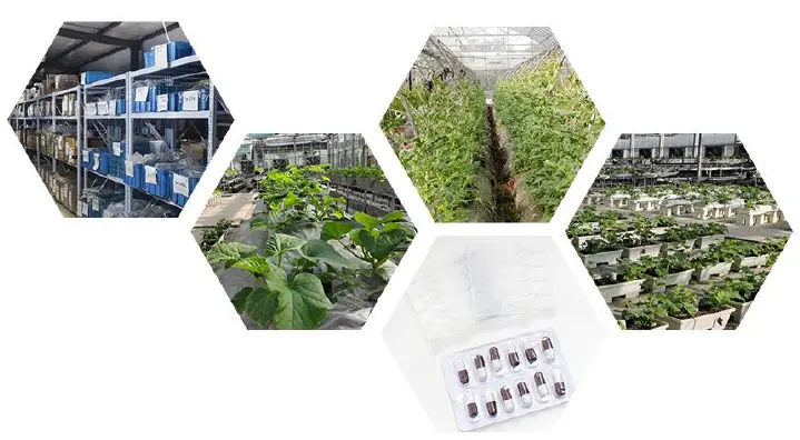 sonbus RS232 serial rail type temperature sensor-fig7