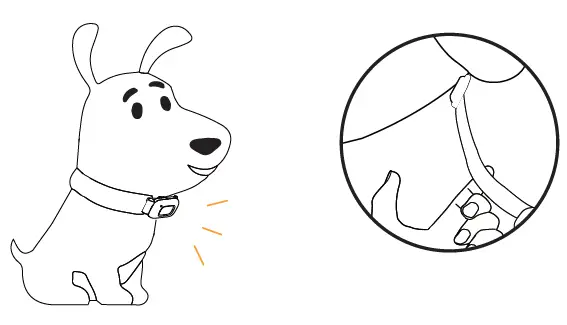 PATPET P-Collar 356 Dog Training Collar fig 10