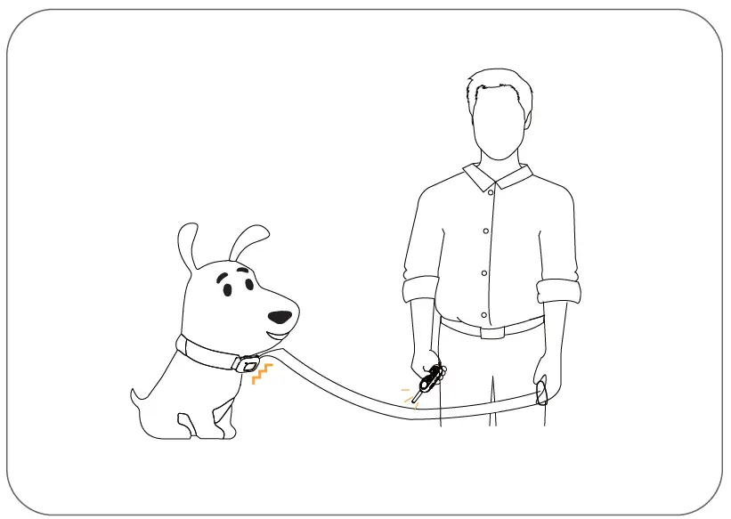 PATPET P-Collar 356 Dog Training Collar fig 16