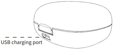 BYTECH AUBE206 True Wireless Stereo Earbuds - USB charging port