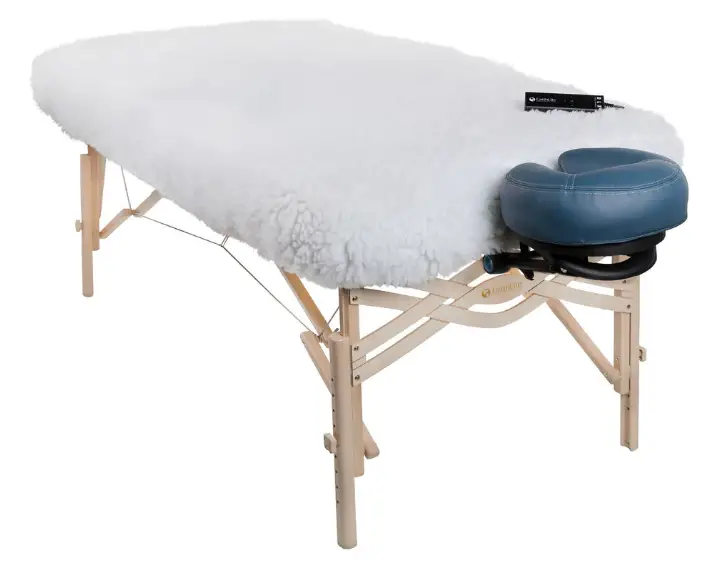 Earthlite-.DLX-Digital-Massage-Table-Warmer-product