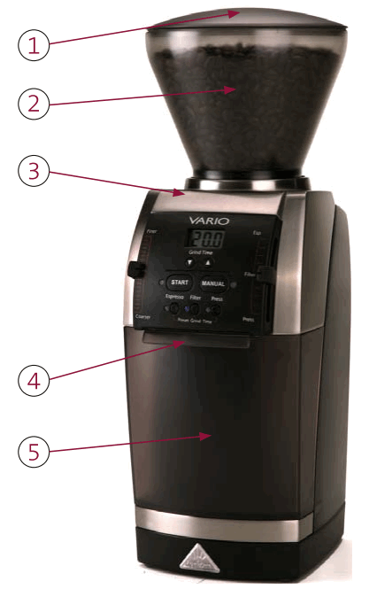 VARIO Coffee Grinder - fig