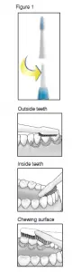 brush guide diagram
