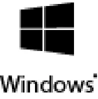 Window icon