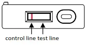 NIDS COVID-19 Antigen Rapid Test Kit - control line