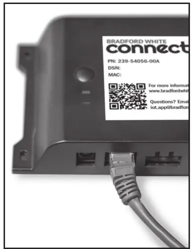 BWCADAPTER Bradford White Connect Adapter- Adapter