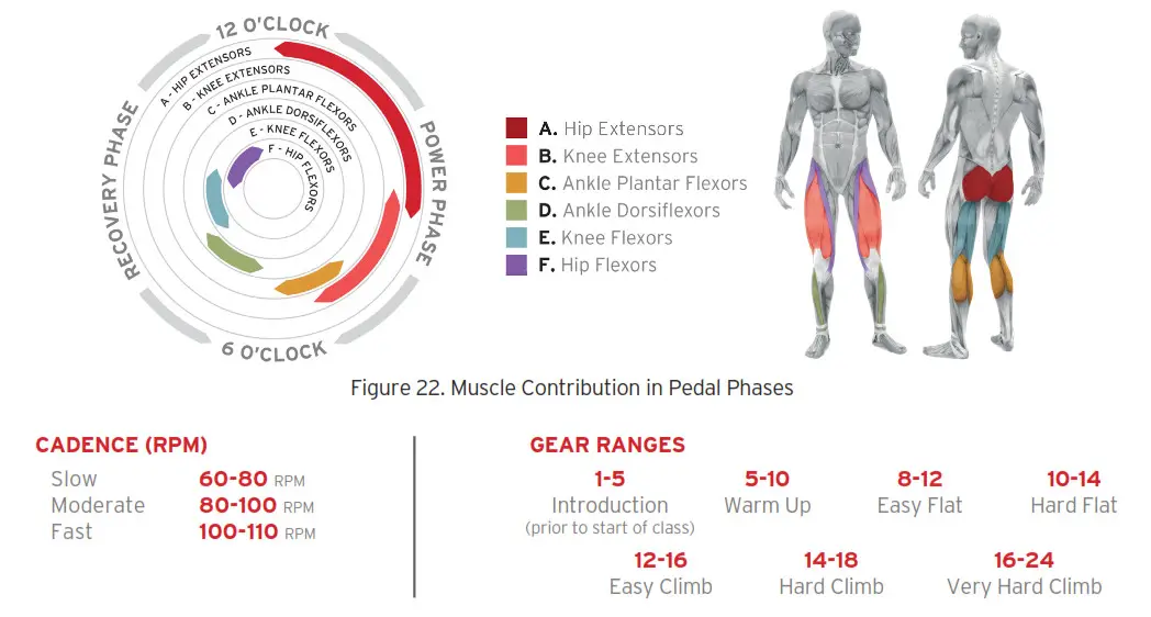 KEISER M Series M3i Lite Indoor Group Cycle- PEDALING