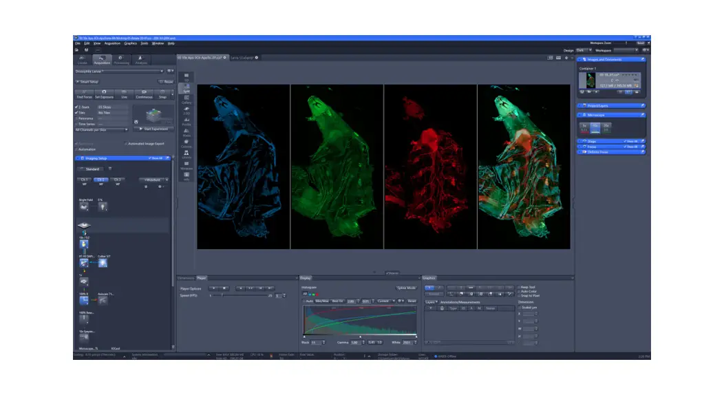 Zeiss Zen Core Software User Guide