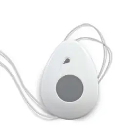 TELUS 21 1589 01 LivingWell Companion Home Device - Wearing your device