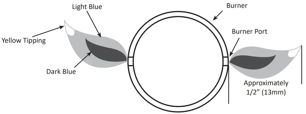 NAPOLEON TQ240 TravelQ 240 Portable Blue Tabletop Gas Grill - fig 1