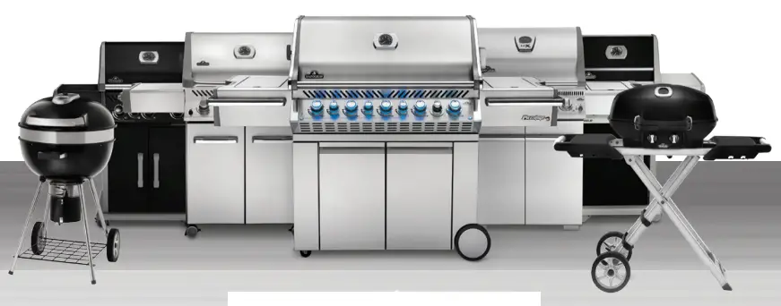 NAPOLEON TQ240 TravelQ 240 Portable Blue Tabletop Gas Grill - fig 12