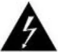 Electric Warning Icon
