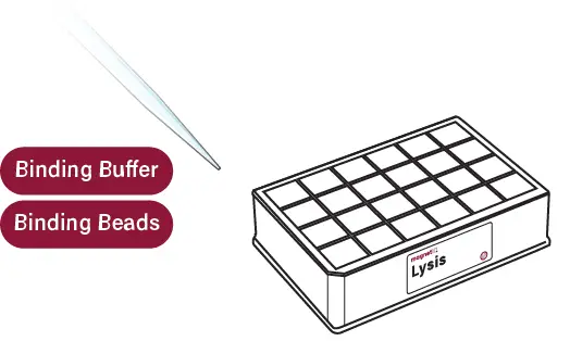 GALENVS-WW0024-Wastewater-DNA-RNA-Extraction-Kit-fig-3