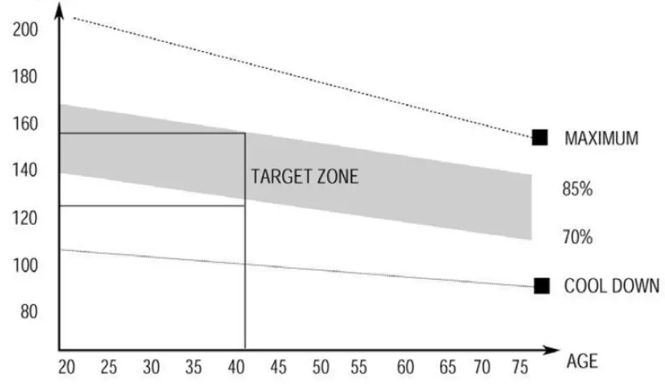 lowes-FYC-QPW9-318RD-Motorized-Treadmill-fig-22