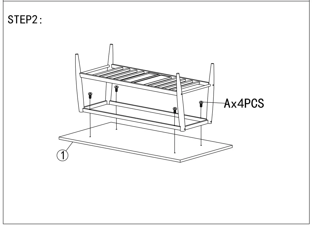 Assembly Instruction