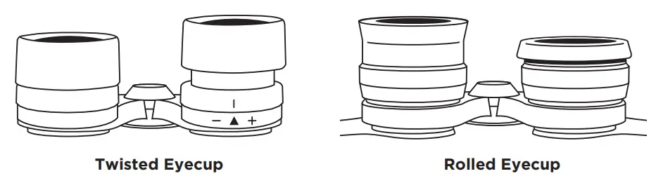 ALPEN-OPTICS-653-10x42-Apex-XP-ED-Waterproof-Binoculars-FIG-2