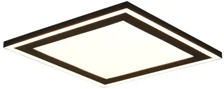 TRIO R67213331 LED Ceiling Lamp Carus 1x16W 8,5W-FIG1