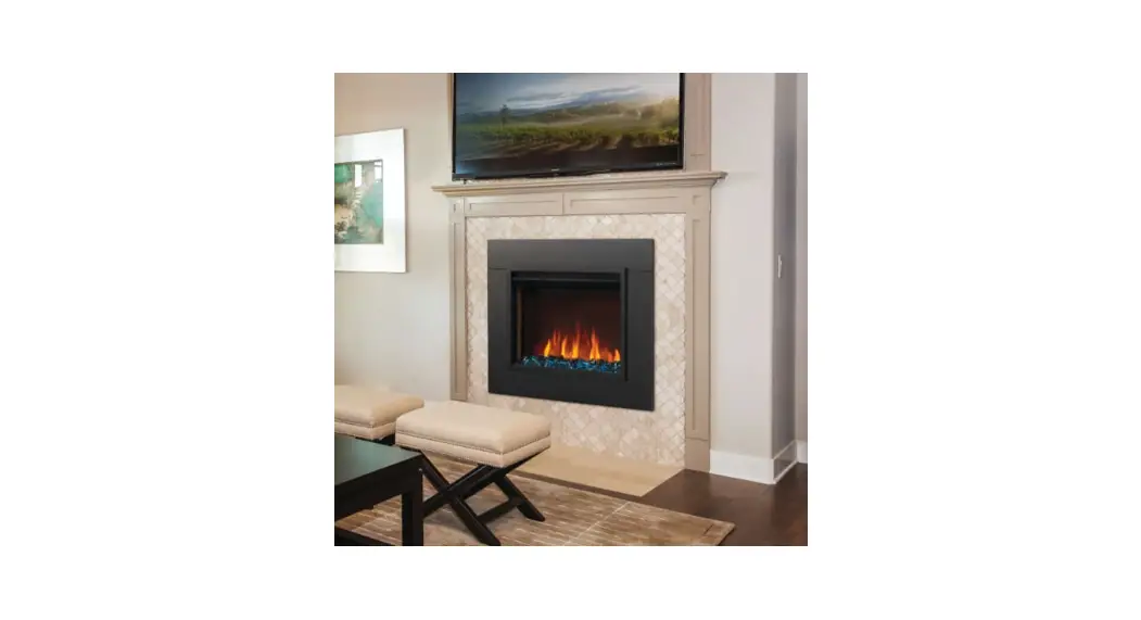 Napoleon Nefb42h-bs Element 42 Electric Appliance Instruction Manual