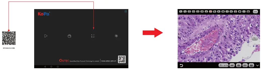 ostec-KS101000-Trinocular-Microscope-Camera-Solution -FIG-8