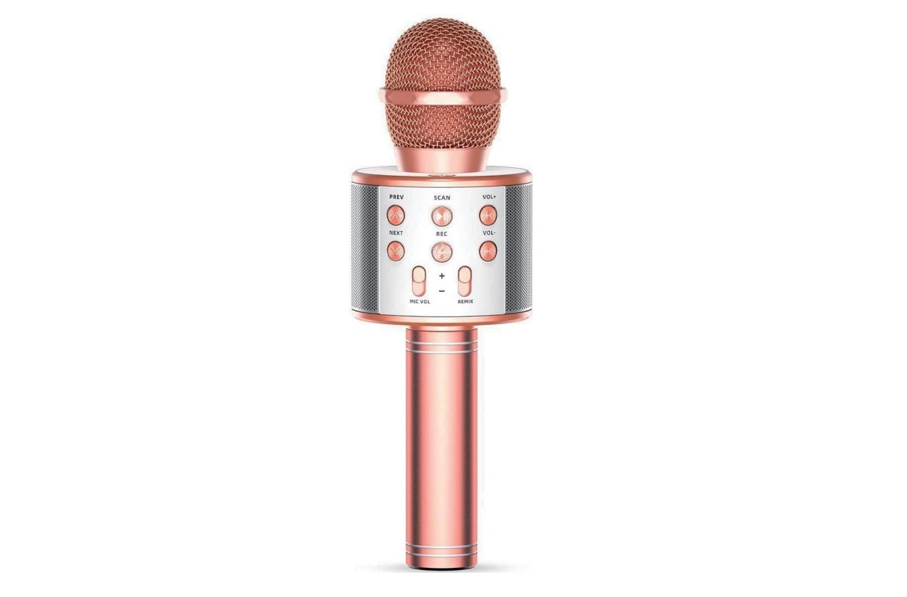 Rhizmall Ws-858 Wireless Karaoke Microphone User Manual Rhizmall Ws-858 Wireless Karaoke Microphone User Manual